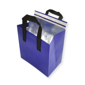 takeaway-insulated-bag