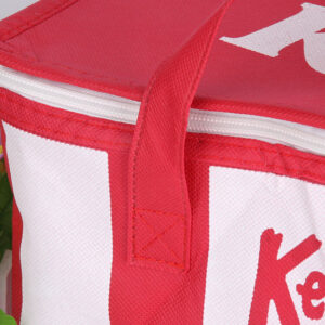 kfc-ice-bag