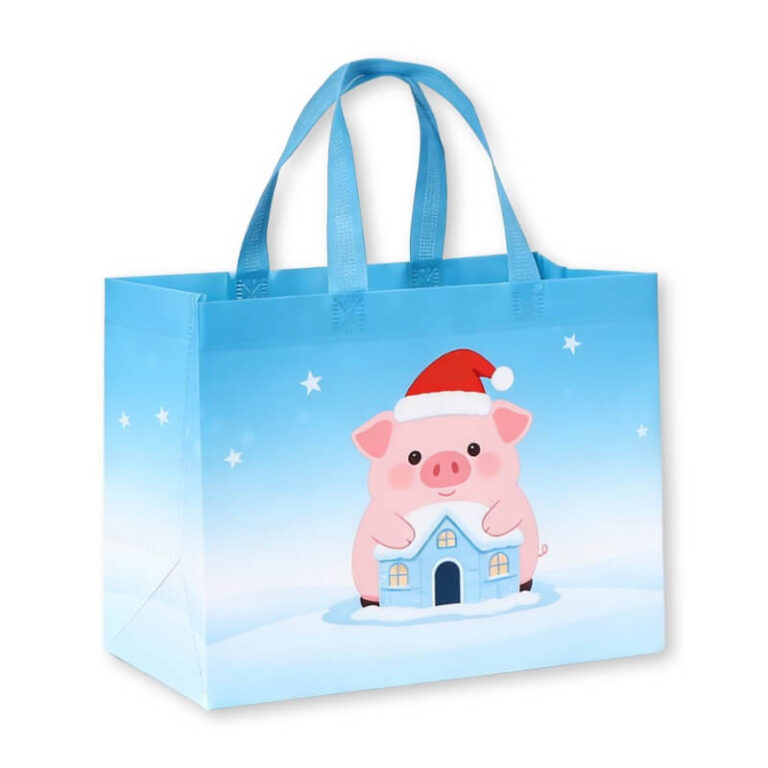 durable-reusable-shopping-bags
