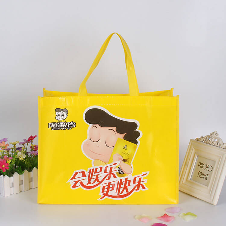 laminated-non-woven-polypropylene-bags
